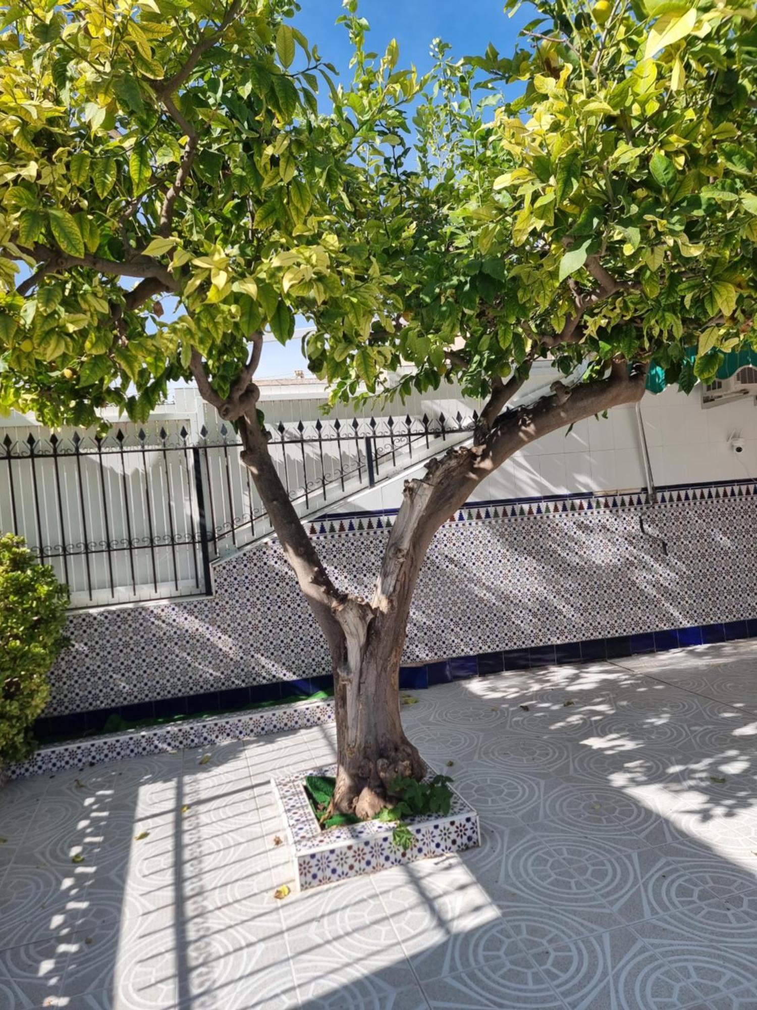 Casa Tranquila Cerca Del Mar Βίλα Santiago De La Ribera Εξωτερικό φωτογραφία